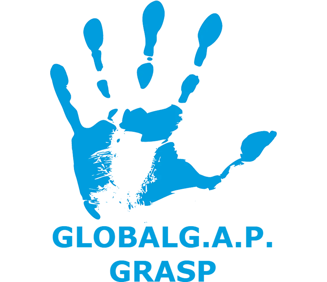 Certificación GRASP de responsabilidad social