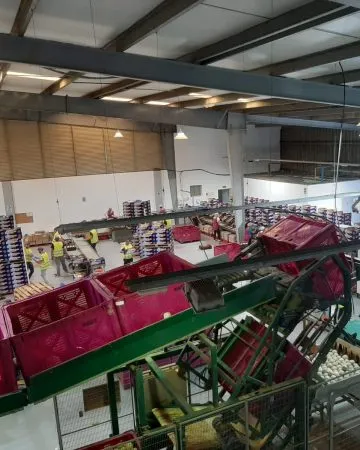 Paso 9: Manipulación y selección en almacén