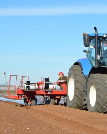 Paso 2: Preparación del terreno de cultivo