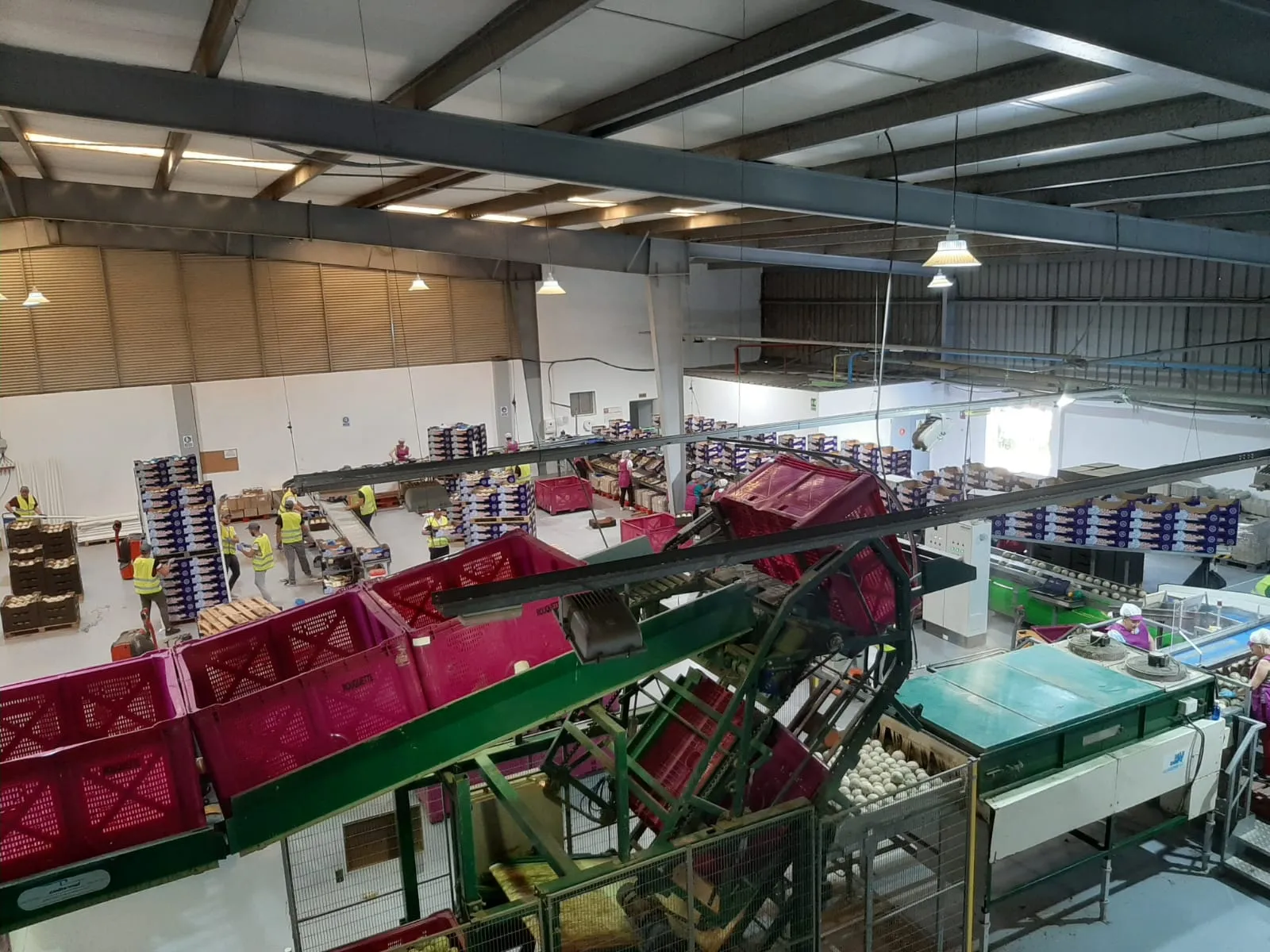 Línea de producción