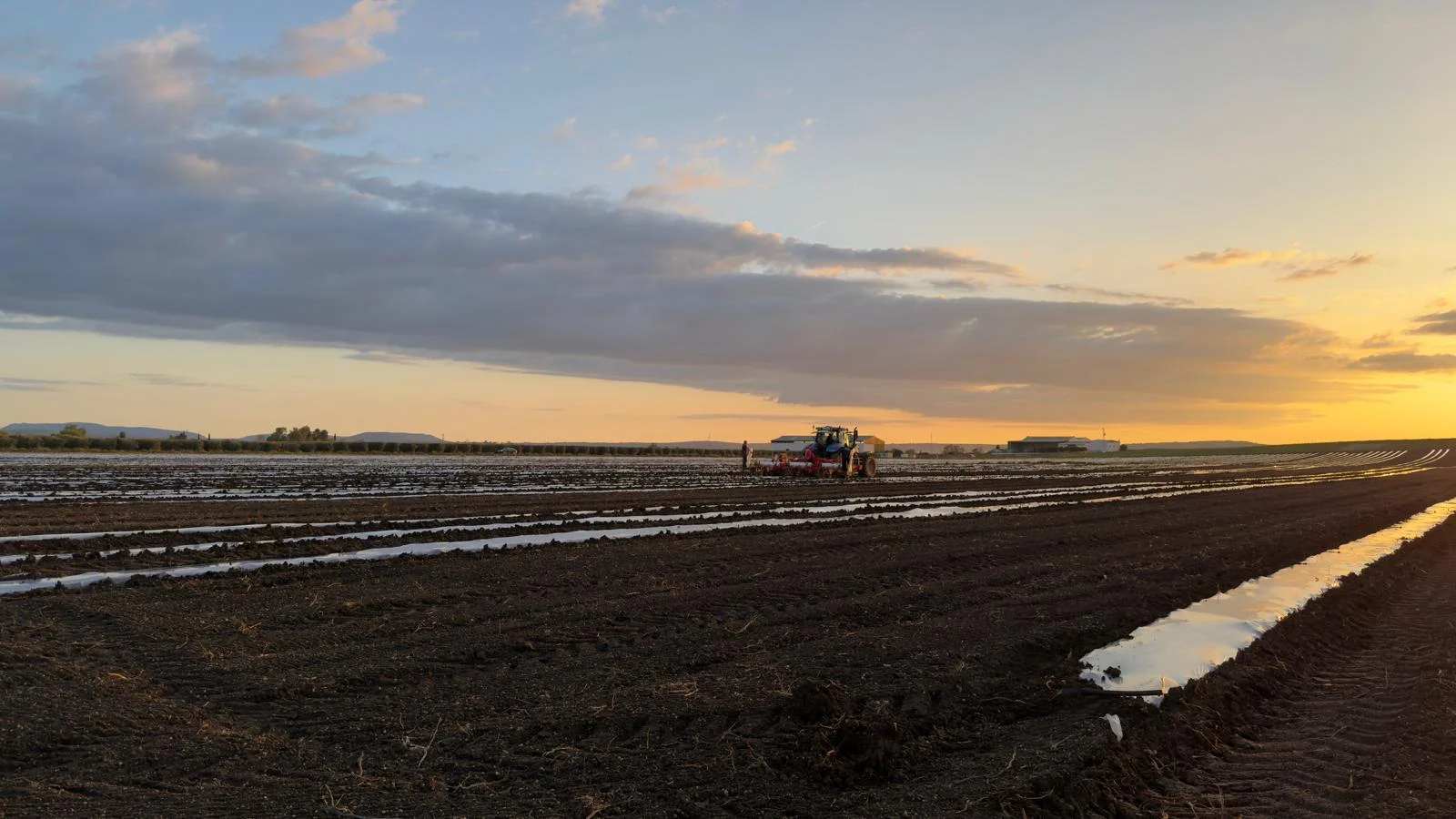 Equipo de Sur Fruits Production